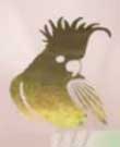 Australian new 10 dollar Rolling colour effect cockatoo-3