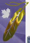 ten canadian dollar note Colour-shifting Eagle Feather-1