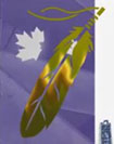 ten canadian dollar note Colour-shifting Eagle Feather-2