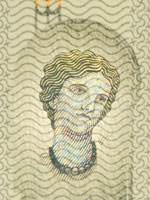 Portrait hologram new 5 euro note(3)