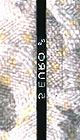 security thread 5 euro note