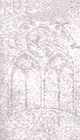 watermark light 20 euro note counterfeit