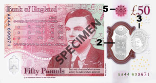 new 50 pound polymer specimen reverse