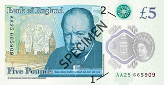 new 5 pound polymer specimen reverse
