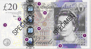20 pound specimen obverse