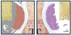 10 Pound Sterling polymer note quill