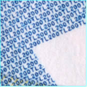 microprinting 200 turkish lira note close