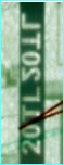 20 turkish lira note Security Thread2