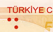 50 turkish lira note Visually Impaired